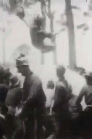 Постер: Tossing a Nigger in a Blanket