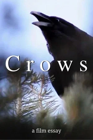 Постер: Crows - A film essay