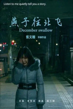 Постер: December Swallow