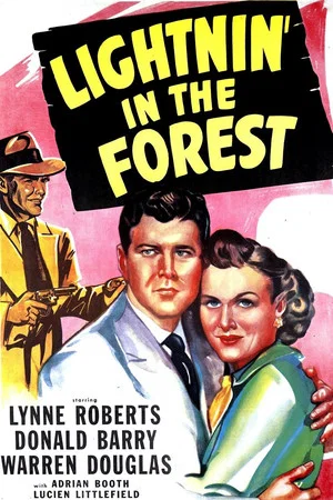 Постер: Lightnin' in the Forest