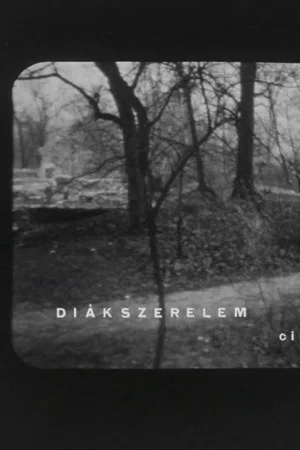 Постер: Diákszerelem