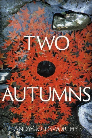 Постер: Two Autumns: Andy Goldsworthy