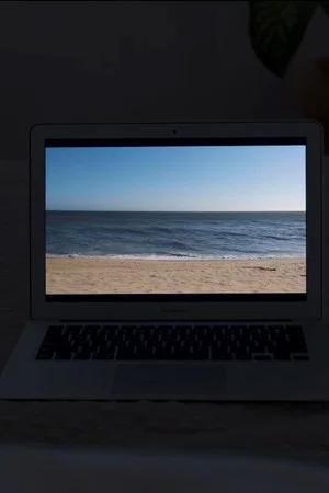Постер: Panoramic Sleights