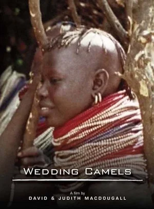 Постер: The Wedding Camels