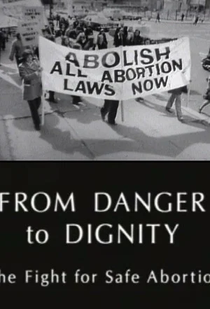 Постер: From Danger to Dignity: The Fight For Safe Abortion