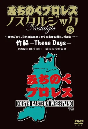 Постер: Michinoku Pro 3rd Anniversary: These Days
