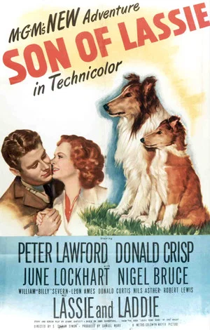 Постер: Son of Lassie