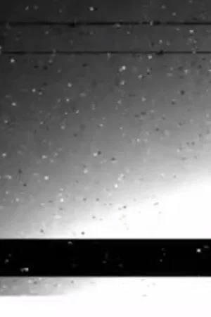 Постер: Black Rain