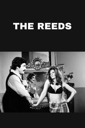 Постер: The Reeds