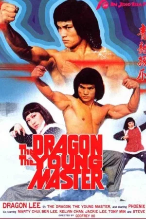 Постер: Dragon, the Young Master