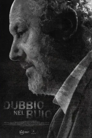 Постер: Doubt in the Shadow