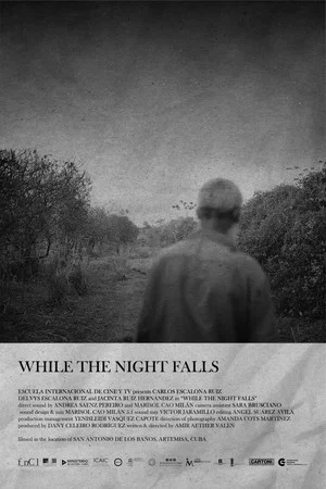 Постер: While The Night Falls