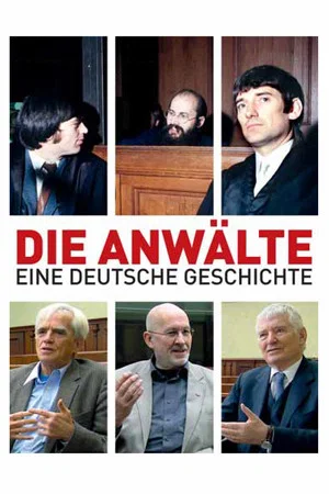 Постер: The Lawyers