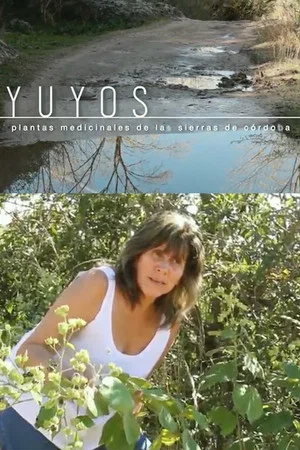 Постер: YuYos