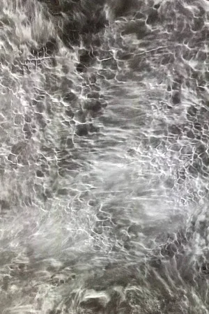 Постер: Sentient Ocean
