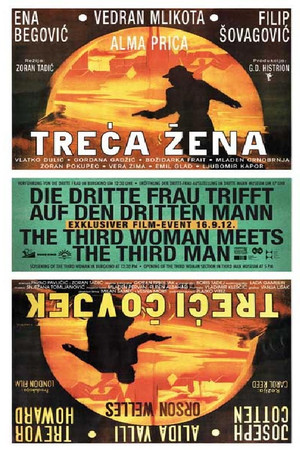 Постер: The Third Woman