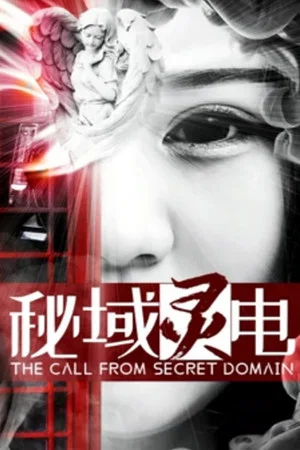 Постер: The Call from Secret Domain