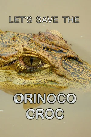 Постер: Let’s Save the Orinoco Croc