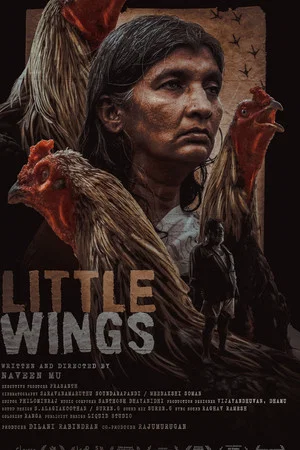 Постер: Little Wings