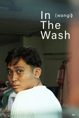 Постер: In The Wash