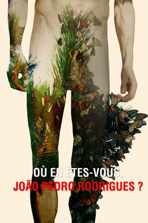 Постер: Where Do You Stand Now, João Pedro Rodrigues?