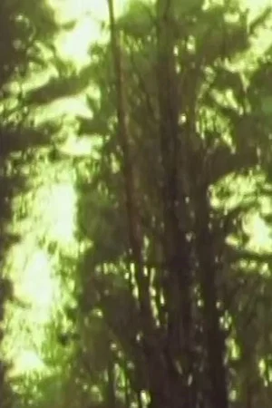 Постер: Orchard