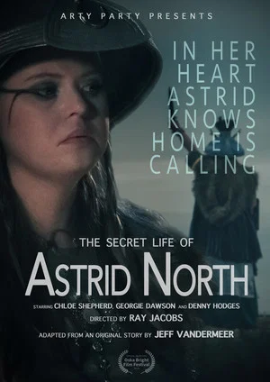 Постер: The Secret Life of Astrid North