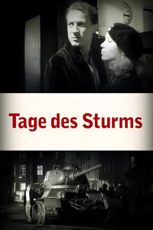 Постер: Tage des Sturms