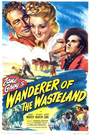 Постер: Wanderer of the Wasteland