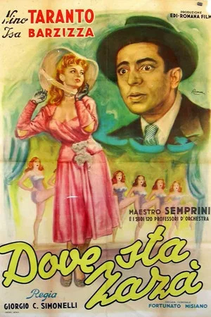 Постер: Dove sta Zaza?