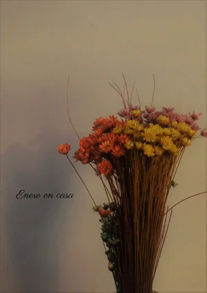 Постер: January at home