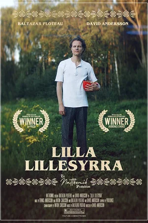 Постер: Lilla Lillesyrra