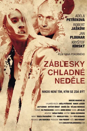 Постер: Záblesky chladné neděle
