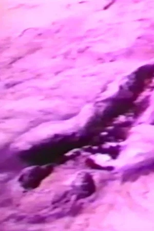 Постер: Filmworks, August 1980 (La Ventosa and San Felipe, Mexico)