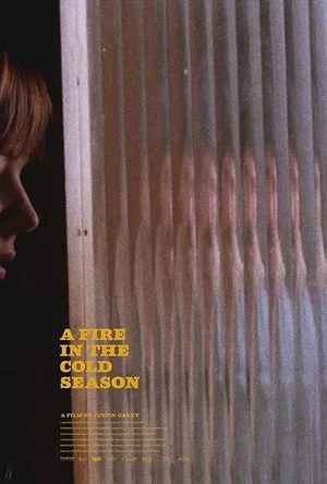 Постер: A Fire in the Cold Season