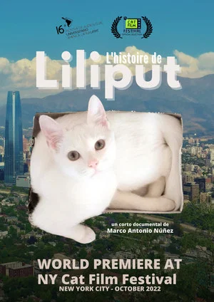 Постер: Liliput's Story