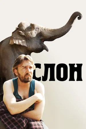 Постер: Слон