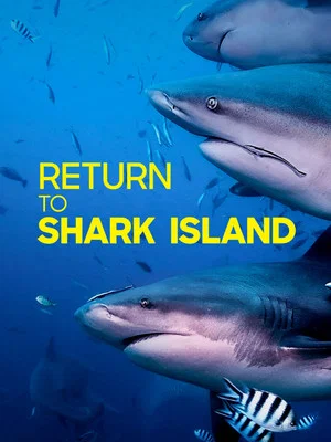 Постер: Return to Shark Island