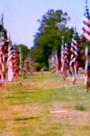 Постер: Towards Intuition: An American Landscape
