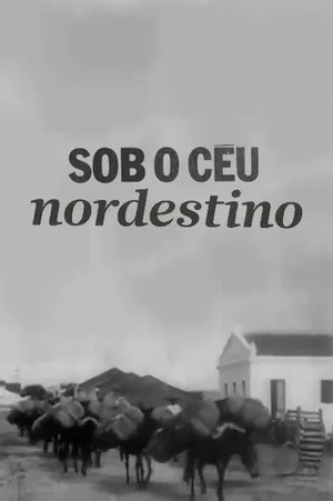Постер: Sob o Céu Nordestino