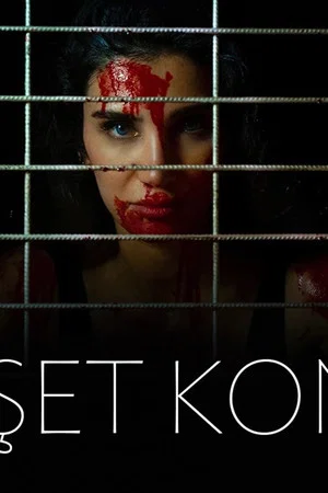 Постер: Dehşet Konağı