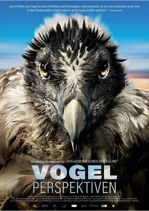 Постер: Bird's Eyeview