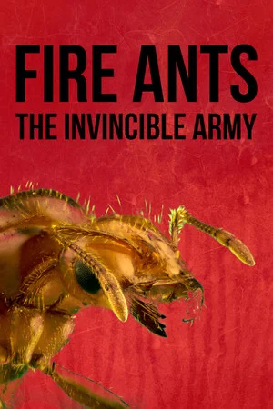 Постер: Fire Ants 3D: The Invincible Army