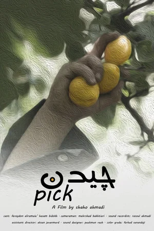 Постер: Pick