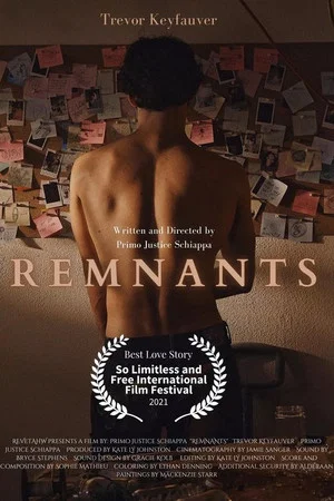 Постер: Remnants