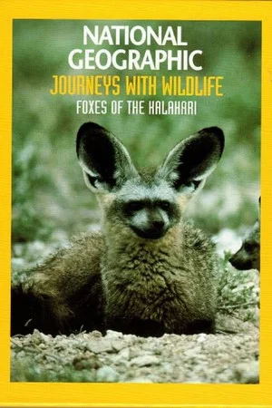 Постер: Foxes of the Kalahari