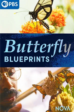 Постер: Butterfly Blueprints