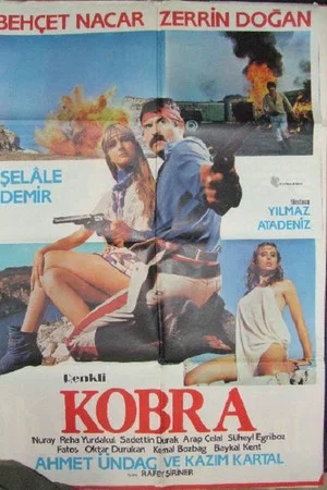 Постер: Kobra