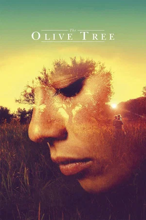 Постер: The Olive Tree