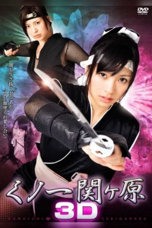 Постер: Kunoichi Sekigahara 3D